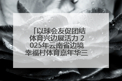 以球会友促团结 体育兴边展活力 2025年云南省边境幸福村体育嘉年华三人篮球赛圆满收官