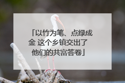 以竹为笔、点绿成金 这个乡镇交出了他们的共富答卷