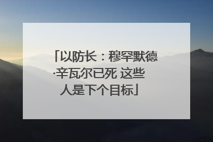 以防长：穆罕默德·辛瓦尔已死 这些人是下个目标