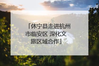 休宁县走进杭州市临安区 深化文旅区域合作