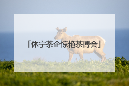 休宁茶企惊艳茶博会