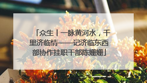 众生丨一脉黄河水，千里济临情——记济临东西部协作挂职干部陈姗姗