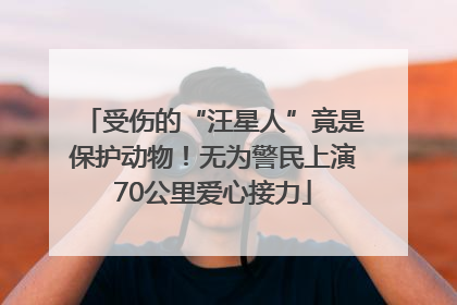 受伤的“汪星人”竟是保护动物！无为警民上演70公里爱心接力