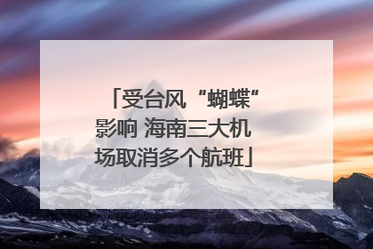 受台风“蝴蝶”影响 海南三大机场取消多个航班