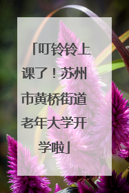 叮铃铃上课了！苏州市黄桥街道老年大学开学啦