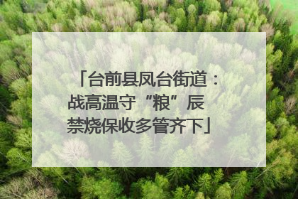台前县凤台街道：战高温守“粮”辰 禁烧保收多管齐下