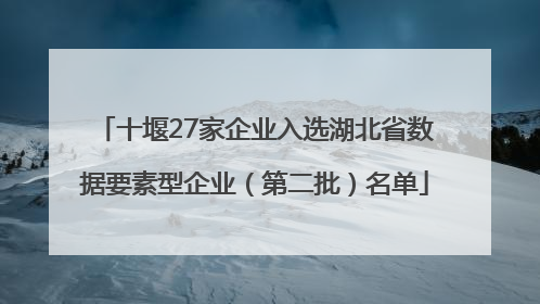 十堰27家企业入选湖北省数据要素型企业（第二批）名单