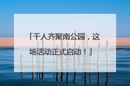 千人齐聚南公园，这场活动正式启动！