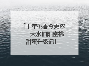 千年桃香今更浓——天水伯阳蜜桃甜蜜升级记