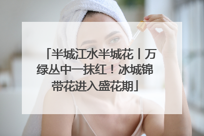 半城江水半城花丨万绿丛中一抹红！冰城锦带花进入盛花期