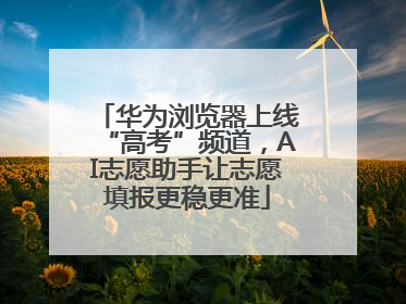 华为浏览器上线“高考”频道，AI志愿助手让志愿填报更稳更准
