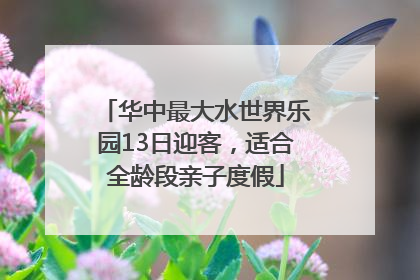 华中最大水世界乐园13日迎客，适合全龄段亲子度假