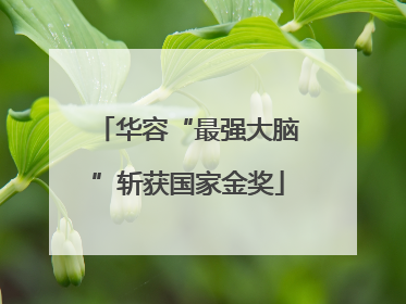 华容“最强大脑”斩获国家金奖