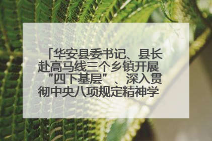 华安县委书记、县长赴高马线三个乡镇开展“四下基层”、深入贯彻中央八项规定精神学习教育工作调研