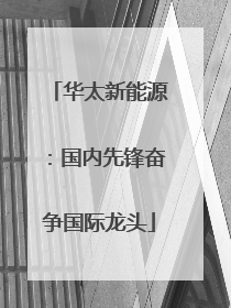 华太新能源：国内先锋奋争国际龙头