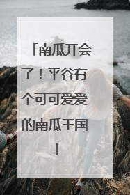 南瓜开会了！平谷有个可可爱爱的南瓜王国