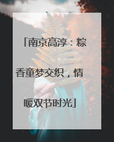南京高淳：粽香童梦交织，情暖双节时光