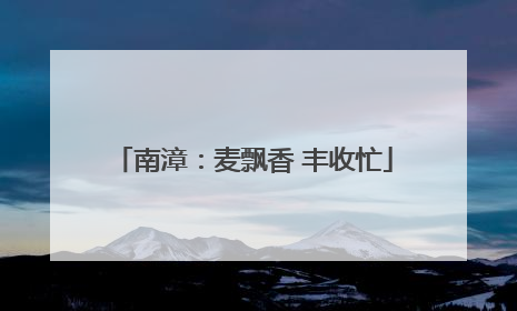 南漳：麦飘香 丰收忙