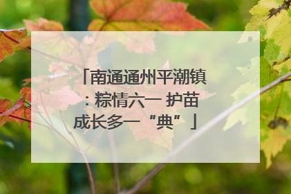 南通通州平潮镇：粽情六一 护苗成长多一“典”