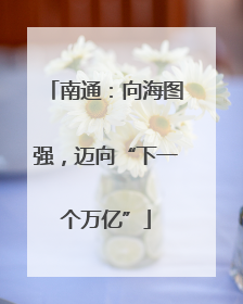 南通：向海图强，迈向“下一个万亿”