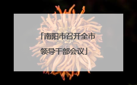 南阳市召开全市领导干部会议