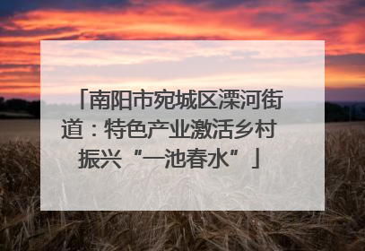 南阳市宛城区溧河街道：特色产业激活乡村振兴“一池春水”
