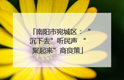 南阳市宛城区：“沉下去”听民声 “聚起来”商良策