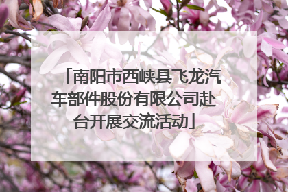 南阳市西峡县飞龙汽车部件股份有限公司赴台开展交流活动