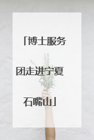 博士服务团走进宁夏石嘴山