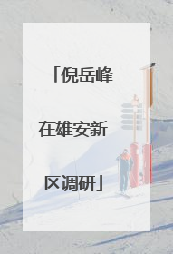 倪岳峰在雄安新区调研