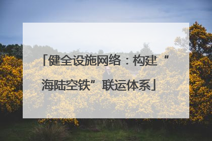 健全设施网络：构建“海陆空铁”联运体系