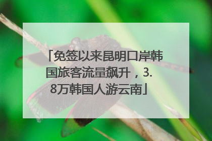 免签以来昆明口岸韩国旅客流量飙升，3.8万韩国人游云南
