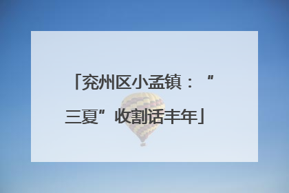 兖州区小孟镇：“三夏”收割话丰年