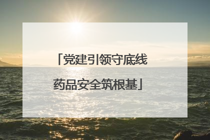 党建引领守底线 药品安全筑根基