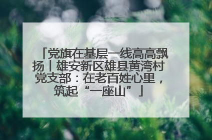 党旗在基层一线高高飘扬丨雄安新区雄县黄湾村党支部：在老百姓心里，筑起“一座山”