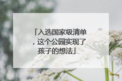 入选国家级清单，这个公园实现了孩子的想法