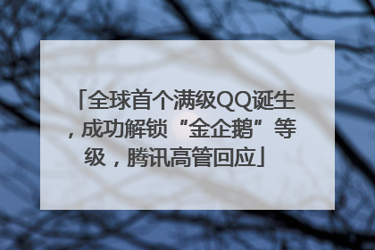 全球首个满级QQ诞生，成功解锁“金企鹅”等级，腾讯高管回应