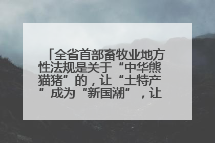 全省首部畜牧业地方性法规是关于“中华熊猫猪”的，让“土特产”成为“新国潮”，让“农产品”升格为“城市IP”