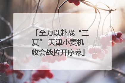 全力以赴战“三夏” 天津小麦机收会战拉开序幕