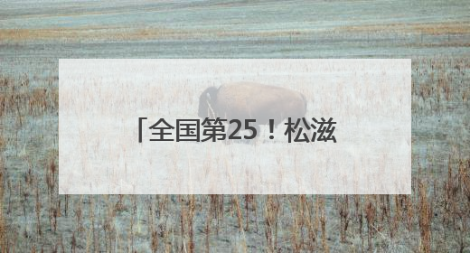全国第25！松滋鸡品牌声誉刷新