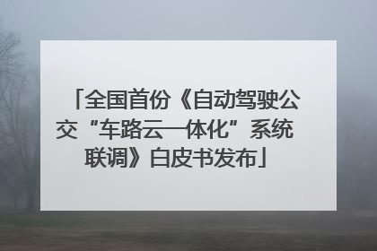 全国首份《自动驾驶公交“车路云一体化”系统联调》白皮书发布