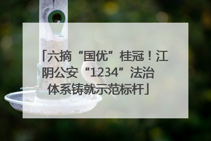 六摘“国优”桂冠！江阴公安“1234”法治体系铸就示范标杆
