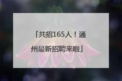 共招165人！通州最新招聘来啦
