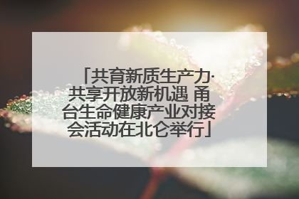共育新质生产力·共享开放新机遇 甬台生命健康产业对接会活动在北仑举行