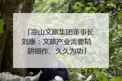 凉山文旅集团董事长刘康：文旅产业需要精耕细作、久久为功