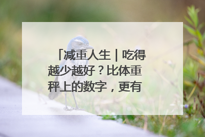 减重人生｜吃得越少越好？比体重秤上的数字，更有意义的是什么？