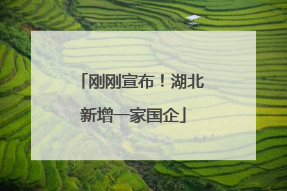 刚刚宣布！湖北新增一家国企
