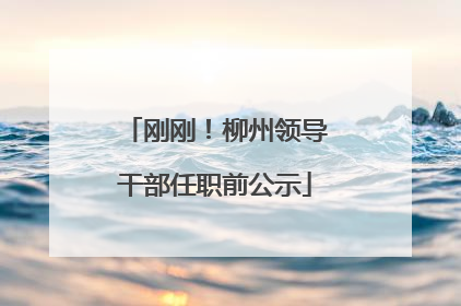 刚刚！柳州领导干部任职前公示