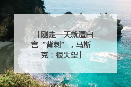 刚走一天就遭白宫“背刺”，马斯克：很失望