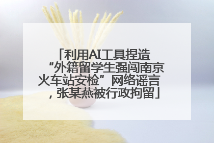 利用AI工具捏造 “外籍留学生强闯南京火车站安检”网络谣言，张某燕被行政拘留